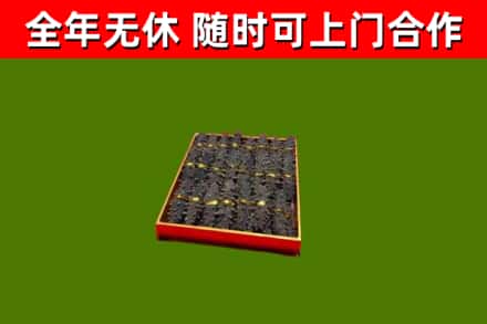 武邑回收海参